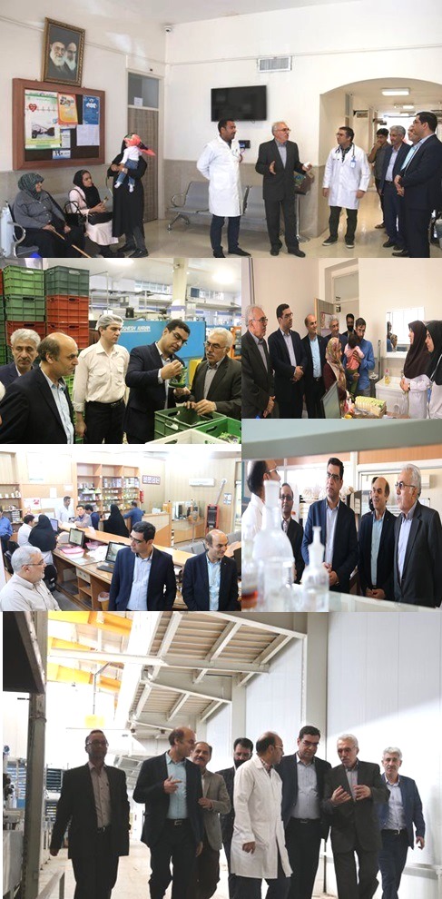 بازدید معاون غذاودارو از اجرا طرح بسیج معاونت غذاودارو
